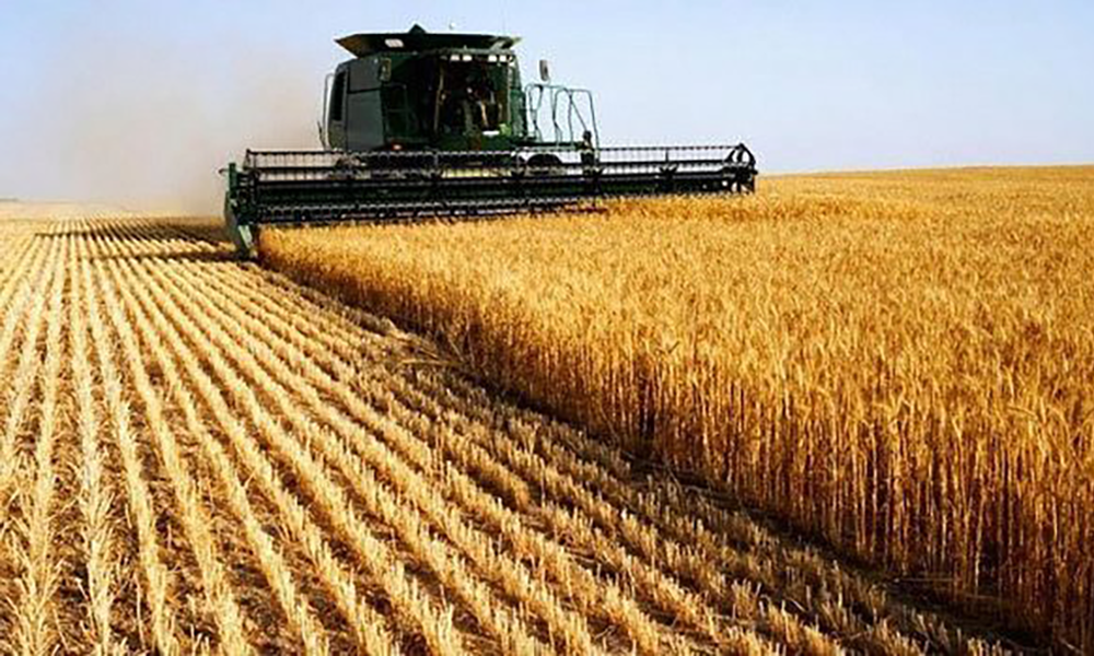 Imagem do WhatsApp de 2025-05-25 à(s) 13.39.42_1ded22ab