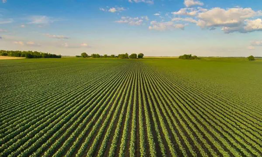 Imagem do WhatsApp de 2025-05-25 à(s) 13.39.42_e130005b